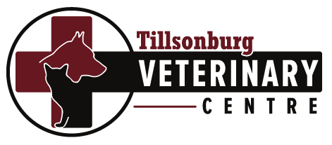 Tillsonburg Veterinary Center